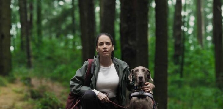 «Accidente», la serie mexicana que desvela la naturaleza humana ante una tragedia