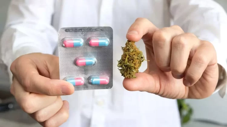 Farmacias de Uruguay pondrán a la venta una variante más fuerte de marihuana