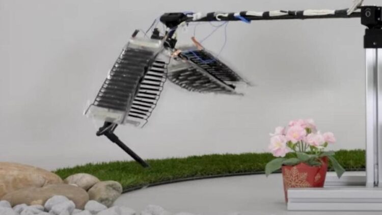 Investigadores crean la primera pierna robótica con «músculos artificiales»