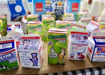 Suspenden desayuno escolar en escuela de Santiago