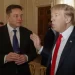 Trump confía en que Musk le ayude a ahorrar billones de dólares de gasto público si gana