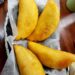 El Sabor Taíno que Perdura en la Gastronomía Dominicana
