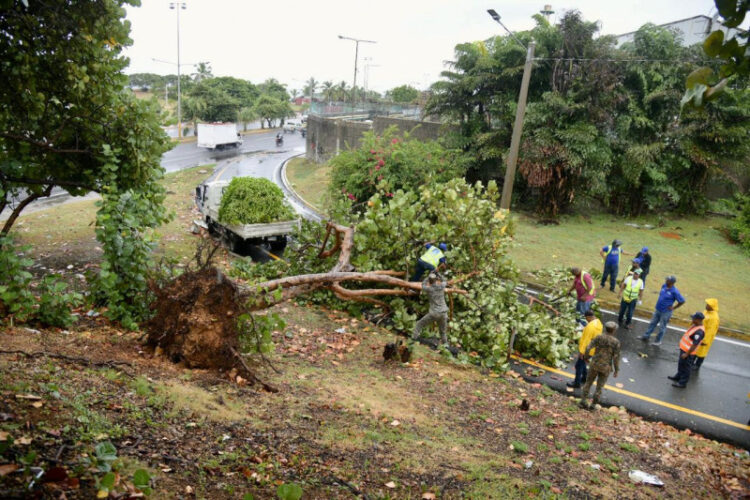 Lluvias tumban árboles y grandes charcos afectan el tránsito en la capital dominicana