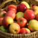 Las manzanas, aliadas clave para reducir el colesterol y perder peso