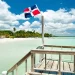 Alertan sobre el aumento de estafas digitales en el sector turístico dominicano