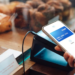 Cuatro alternativas para pagar sin llevar tarjeta o efectivo