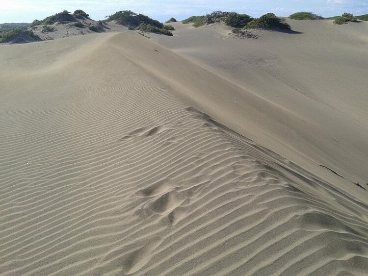 Medio Ambiente toma control de área diezmada en Las Dunas de Baní