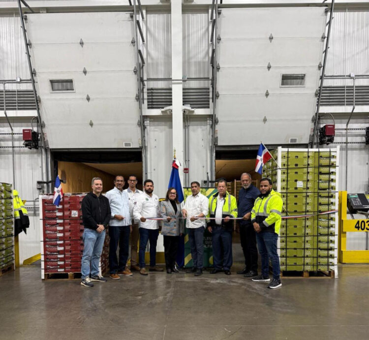Uvas de mesa dominicanas hacen su debut en mercado estadounidense