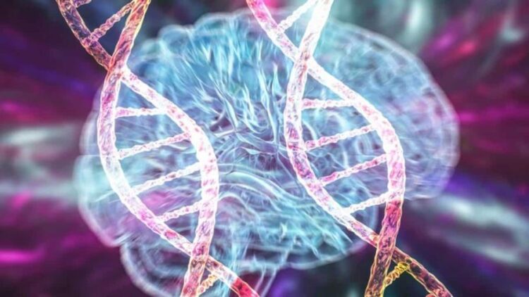 Descubren una nanoterapia con azúcar de plantas contra las enfermedades neurodegenerativas