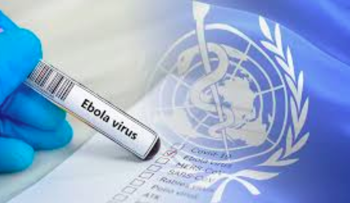 OMS declara emergencia internacional por brote de ébola en África Central
