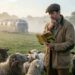 «The Sheep Detectives» y las voces detrás de un misterio improbable