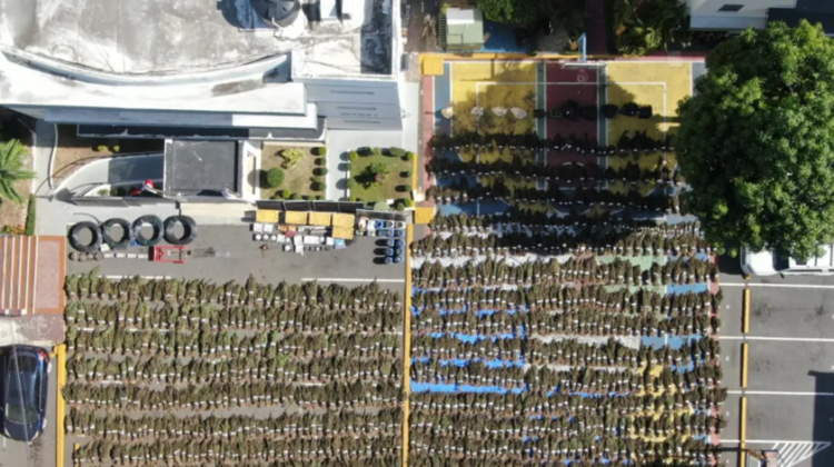Histórico golpe al narcotráfico: decomisan más de 13,800 libras de marihuana en Ocoa