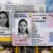 Efemérides Patrias arremete contra las críticas al Escudo Nacional en la nueva cédula