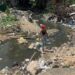 Pedernales, Bahoruco y San José de Ocoa aún carecen de alcantarillado sanitario