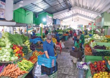 Latinoamérica reduce el hambre pero aumentan la obesidad y los precios, según informe ONU
