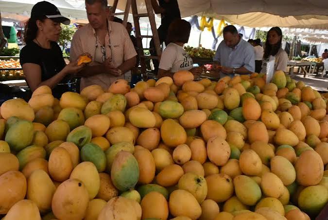 Control de la mosca del mango: una resolución de 2019 cobra vigencia ante restricciones a las exportaciones