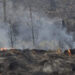 Controlan incendio forestal en Valle Nuevo